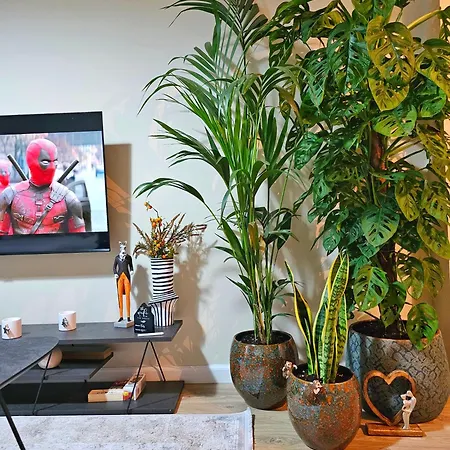 Maga Apartment *